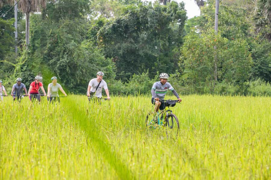 Siem Reap: Guided Countryside Bike Tour - Mushroom farms, lotus fields, and family businesses
