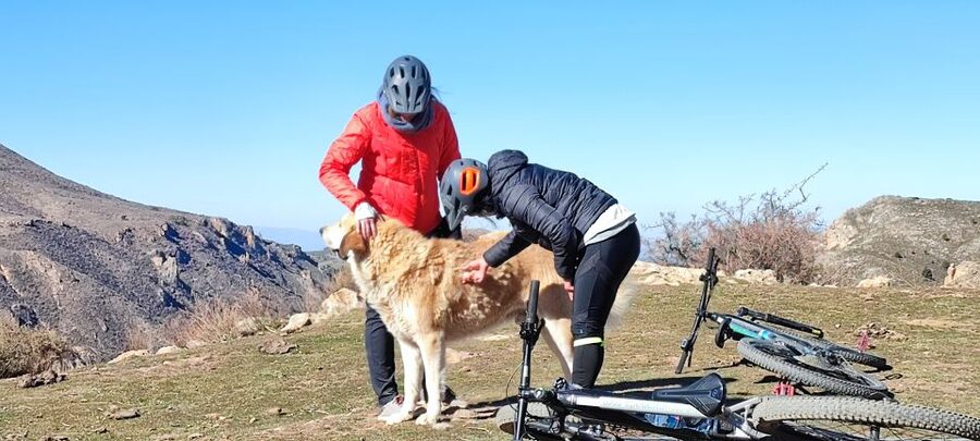 Sierra Nevada Small Group E-Bike Tour - The food and comfort stops