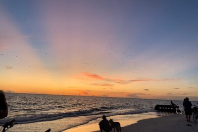 Siesta Key Electric Bike Sunset Tour