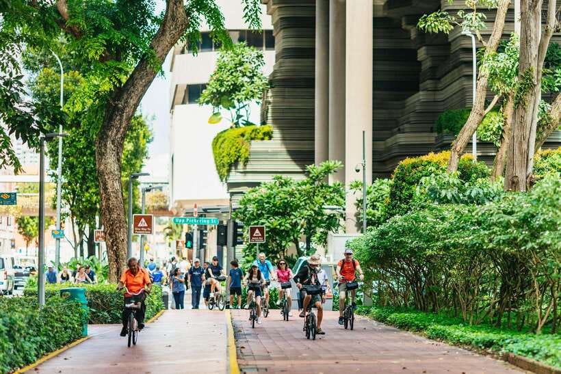 Singapore: Lion City Highlights Bike Tour - Little India and the most demanding cycling section