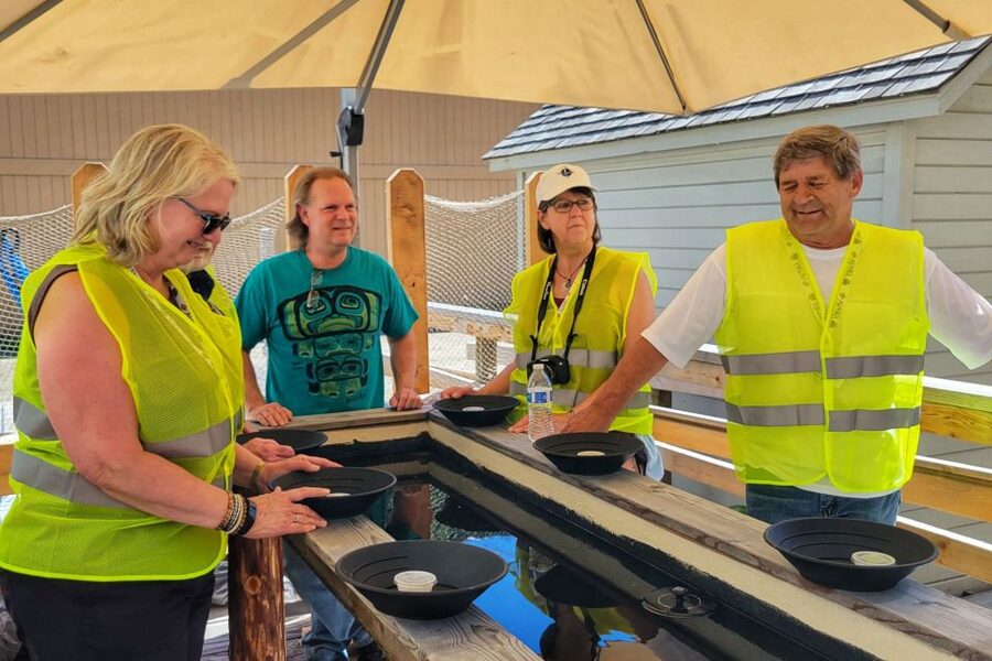 Skagway: City Highlights E-bike Tour with Gold Panning - Key points to know before booking