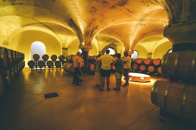 Small-group Amarone Wine e-Bike Tour from Verona - Timing, weather, and cancellation details