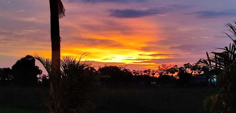 Small Group Countryside Sunset Bike Tours - Tasting Khmer snacks, desserts, and rice wine