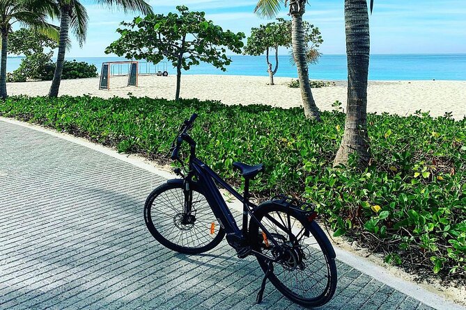 Small Group E-Bike Grand Cayman Ecological Half-Day Tour - What $129 gets you