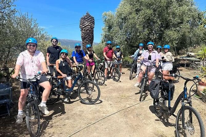 Small Group Guided E-Bike Tour in Nice’s Organic Vineyard - Why the electric bike matters on the hills