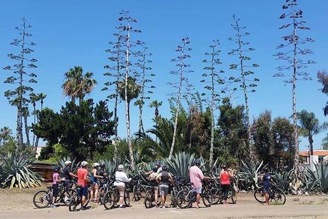 SoCal Riviera Electric Bike Tour of La Jolla and Mount Soledad - The Children’s Pool and shared shoreline