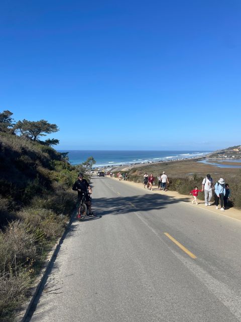 Solana Beach: E-Bike Tour to Torrey Pines or North Coast - South to Del Mar and Torrey Pines State Beach