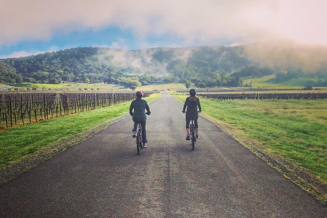 Sonoma Valley Pedal Assist Bike Tour with Lunch - Why the pedal-assist bike matters