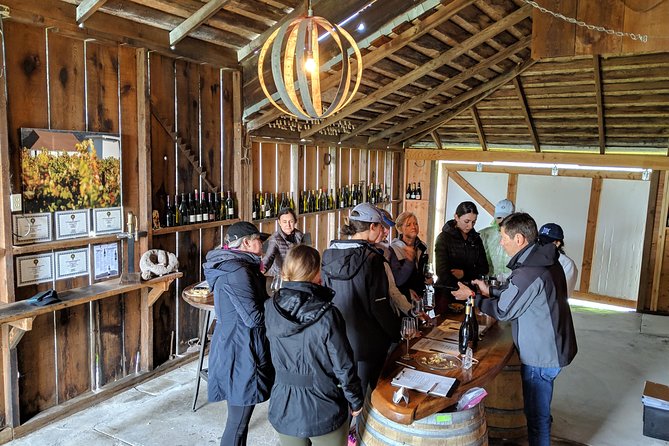 Sonoma Valley Pedal Assist Bike Tour with Lunch - Winery stops: two different tastes of Sonoma