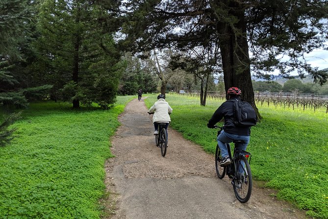 Sonoma Valley Pedal Assist Bike Tour with Lunch - A picnic lunch made for a wine day