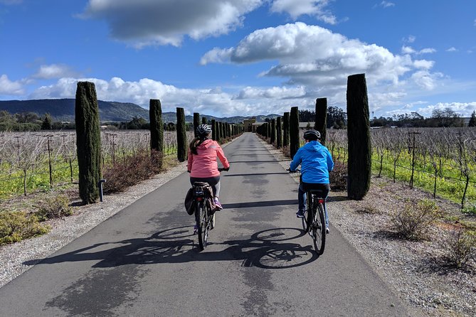 Sonoma Valley Pedal Assist Bike Tour with Lunch - Vella Cheese Company after the vineyards