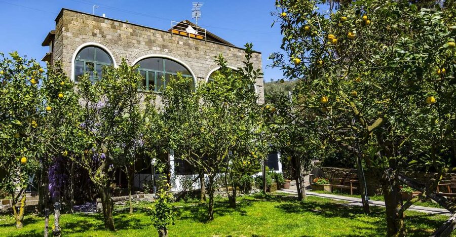 Sorrento: Coast E-Bike Tour with Limoncello Tasting - Why this short ride shows you more than Sorrento’s center