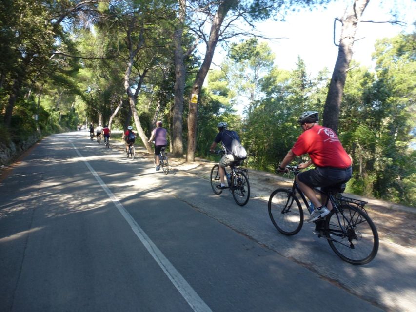 Split 3-Hour Guided Bike Tour - Sustipan, the coastal park above the sea