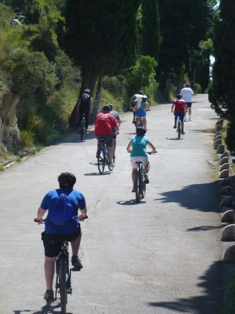 Split 3-Hour Guided Bike Tour - Starting among Split’s market streets and palace walls