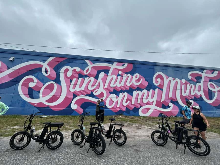 St. Petersburg, FL: Sightseeing & Murals Electric Bike Tour - Passing the Dali Museum