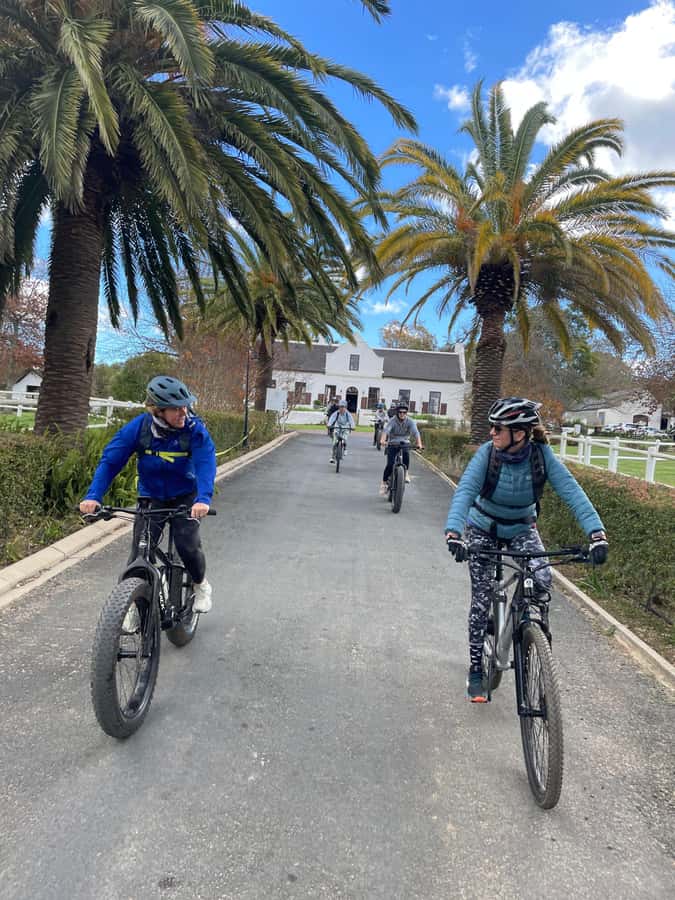 Stellenbosch: Countryside Banhoek valley E-Bike Wine Tour - Key points at a glance