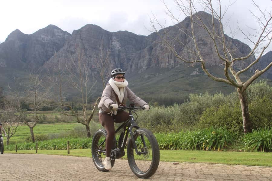 Stellenbosch: Countryside Banhoek valley E-Bike Wine Tour - What the guide adds to the experience