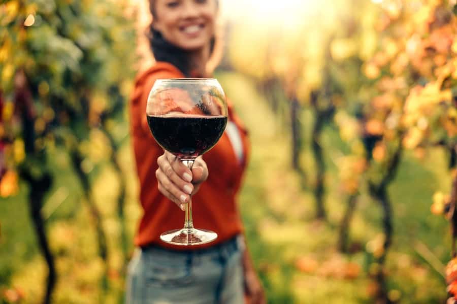 Stellenbosch: Countryside Banhoek valley E-Bike Wine Tour - Starting at Banhoek Chilli Oil Company