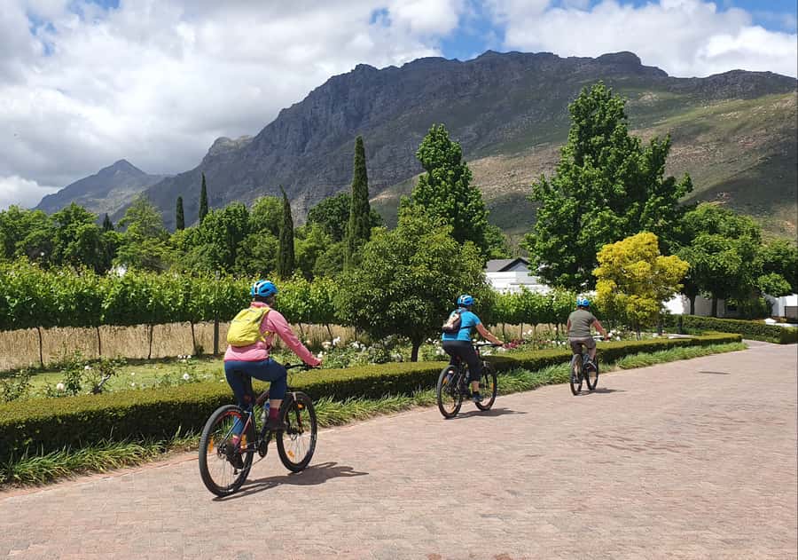 Stellenbosch: Historical Bike Tour & Wine Tasting - How hard is the ride?