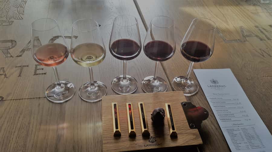 Stellenbosch: Historical Bike Tour & Wine Tasting - Small groups and guide quality