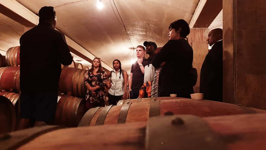 Stellenbosch: Historical Bike Tour & Wine Tasting - Cycling through Stellenbosch University