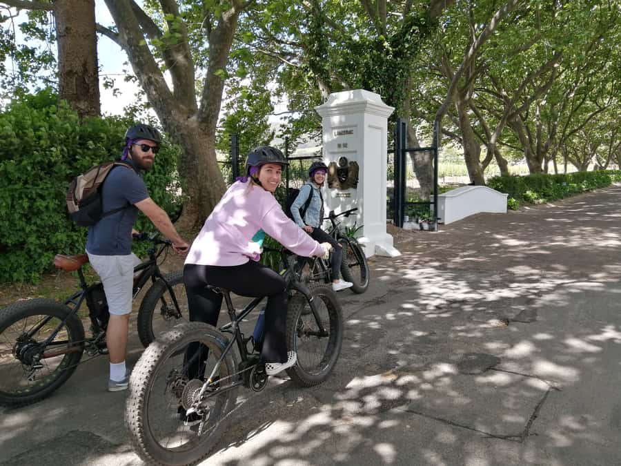 Stellenbosch: Wine Farm E-Bike Guided Tour - A gentle ride into the Jonkershoek Valley