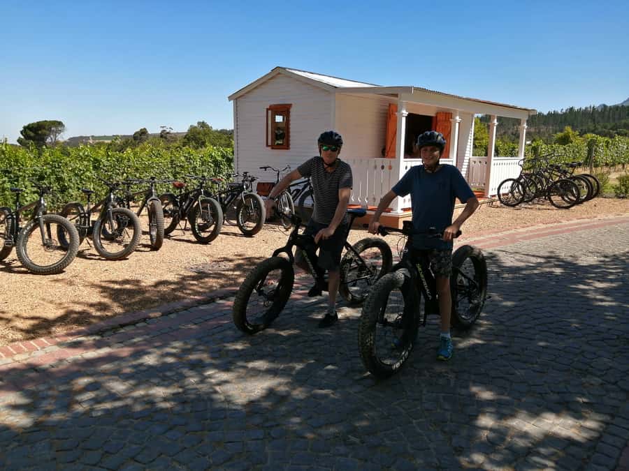 Stellenbosch: Wine Farm E-Bike Guided Tour - How the electric bicycle changes the experience