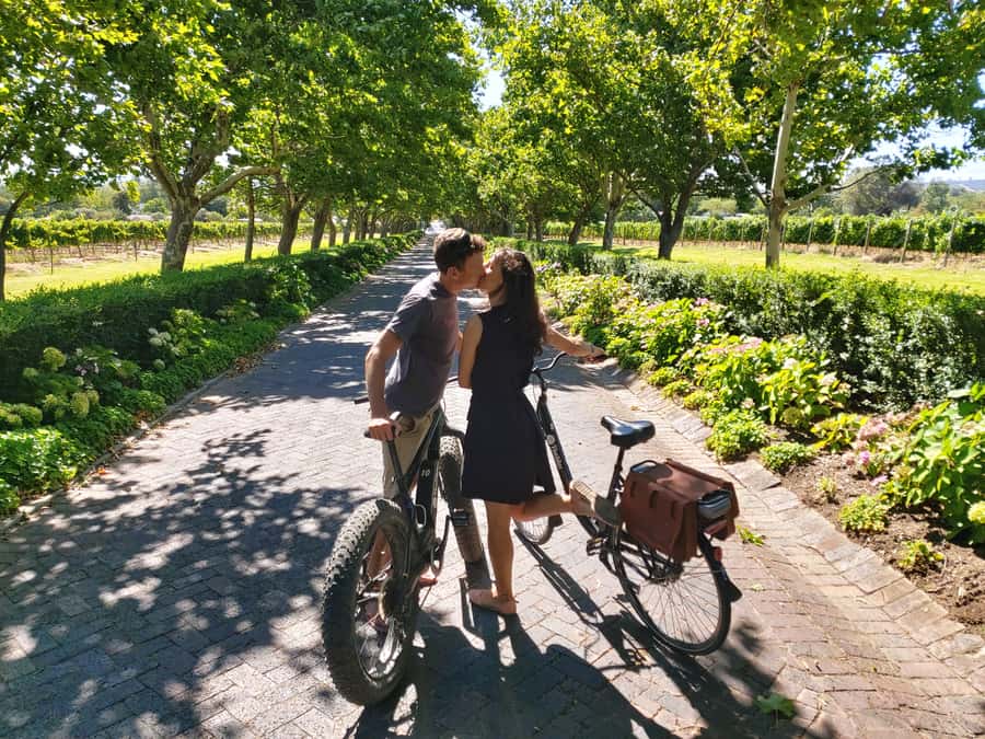Stellenbosch: Wine Farm E-Bike Guided Tour - Two wine farms, with an important reservation