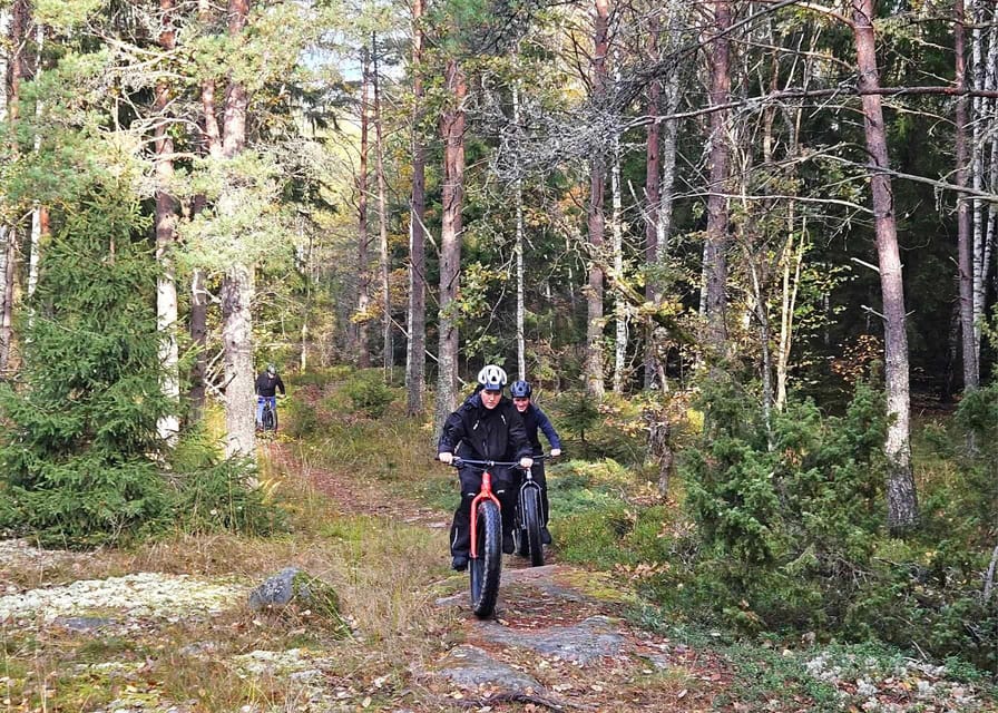 Stockholm: Fat Bike Forest Adventure with Lunch and Sauna - Who should book this activity