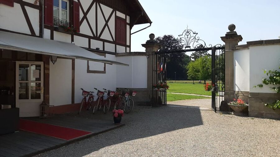 Strasbourg: 1-Day Bike Rental - Why a bike works so well in Strasbourg