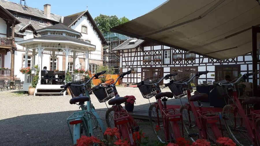 Strasbourg: 1-Day Bike Rental - Riding to the cathedral and old center