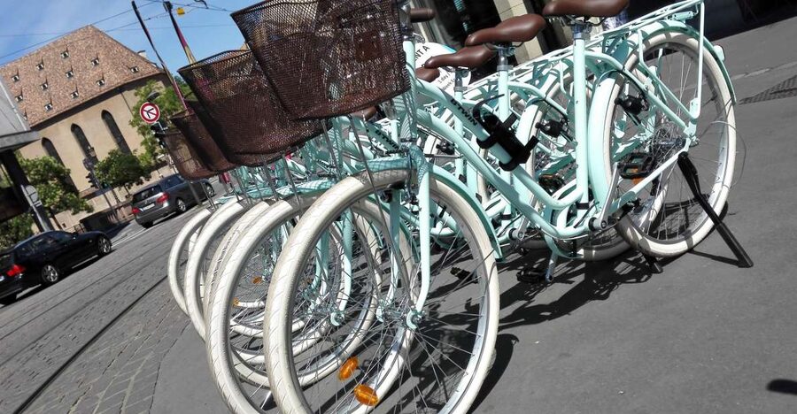Strasbourg: 1-Day Bike Rental - Is $29 a fair price for one day?