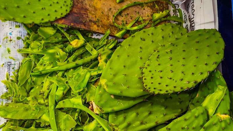🟢Street Food Bike Tour Mexico City🟢 - Chapultepec Park changes the pace