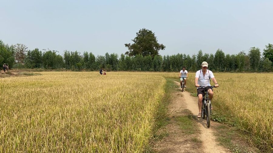 Sukhothai: Half-Day Countryside Bike Tour - How this compares with a standard Sukhothai sightseeing day