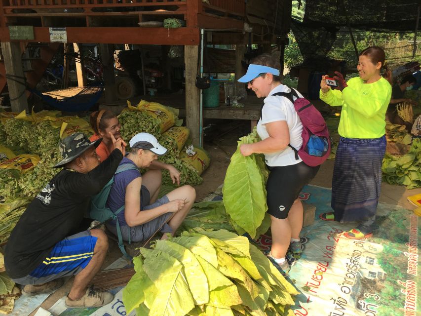 Sukhothai: Half-Day Countryside Bike Tour - Who should choose this five-hour route?