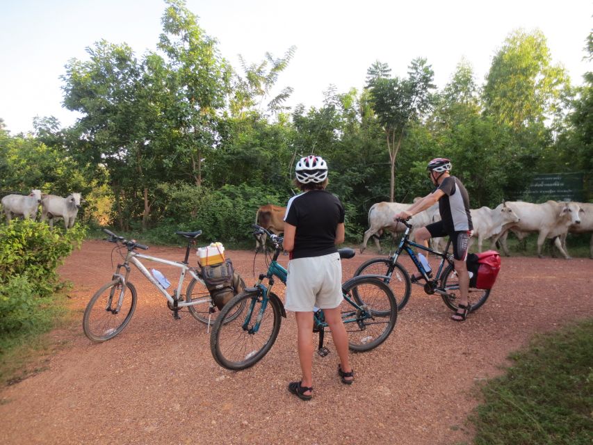 Sukhothai: Historical Park & Countryside Cycling Tour - Why a bicycle is the right way to see Sukhothai