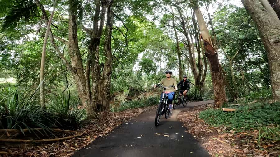 Sunshine Coast: Maleny Magic Guided e-Bike Tour - Key points at a glance