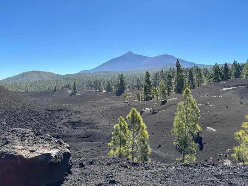 Tenerife: premium e-bike ride at Chineyro volcanic area - The lava that stopped near the village