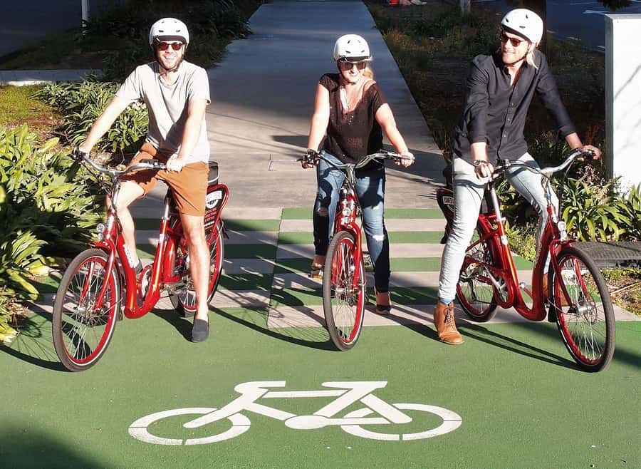 The Classic: Discover Amazing Auckland on an Electric Bike - Starting at Princes Wharf