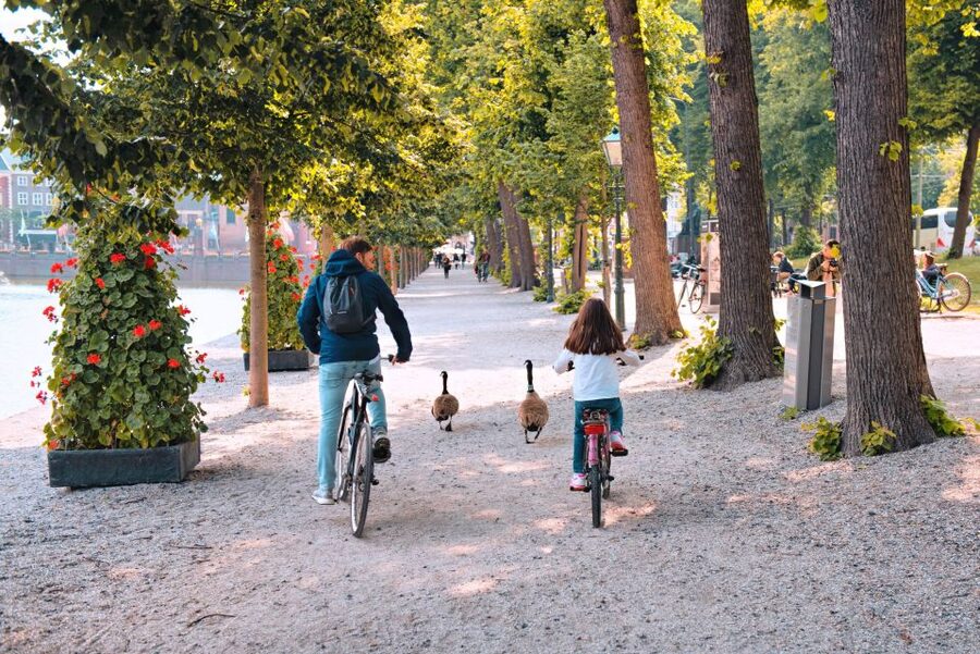 The Hague: Highlights Bike Tour - Seeing The Hague from two wheels
