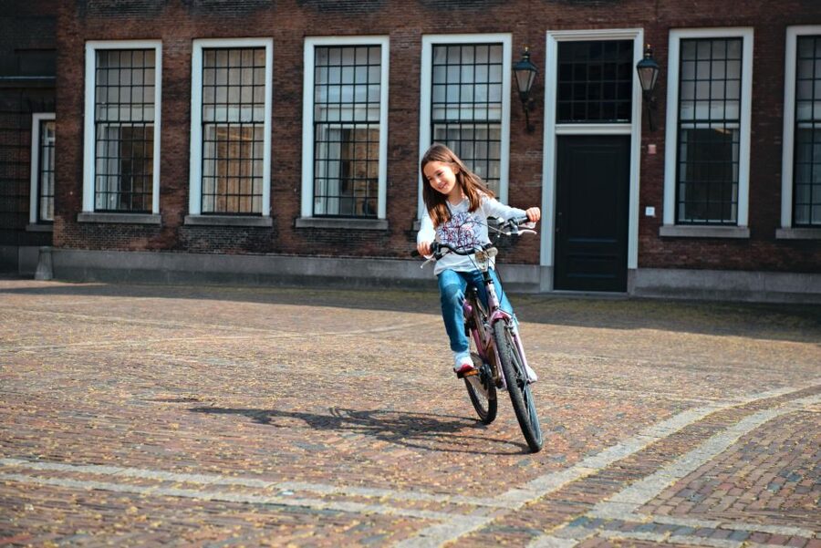 The Hague: Highlights Bike Tour - The Peace Palace and The Hague’s international role