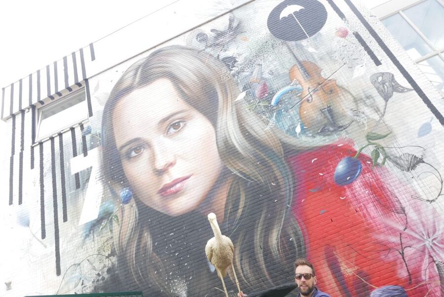 The Hague: Street Art Tour by Bike - How demanding is the cycling?