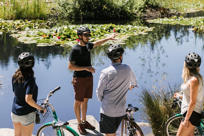 The Stanley Park Bicycle Tour by Cycle City Tours - The Seawall, Skyline, and North Shore Mountains