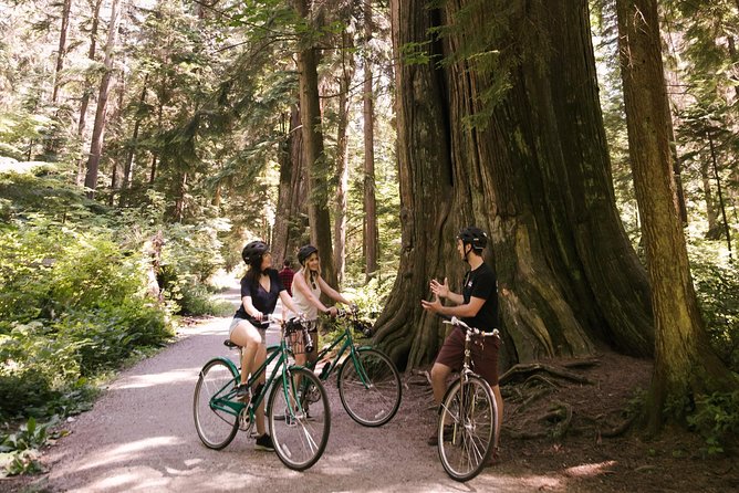 The Stanley Park Bicycle Tour by Cycle City Tours - Third Beach and a Quiet Pause by the Water