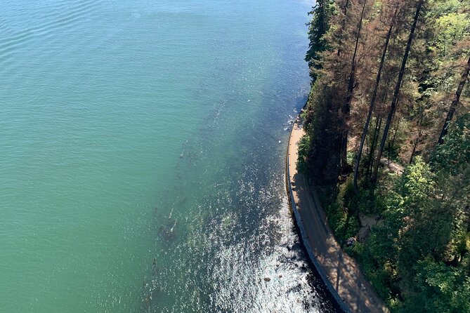 The Ultimate Stanley Park E-Bike Tour - Along the seawall, where the views keep changing