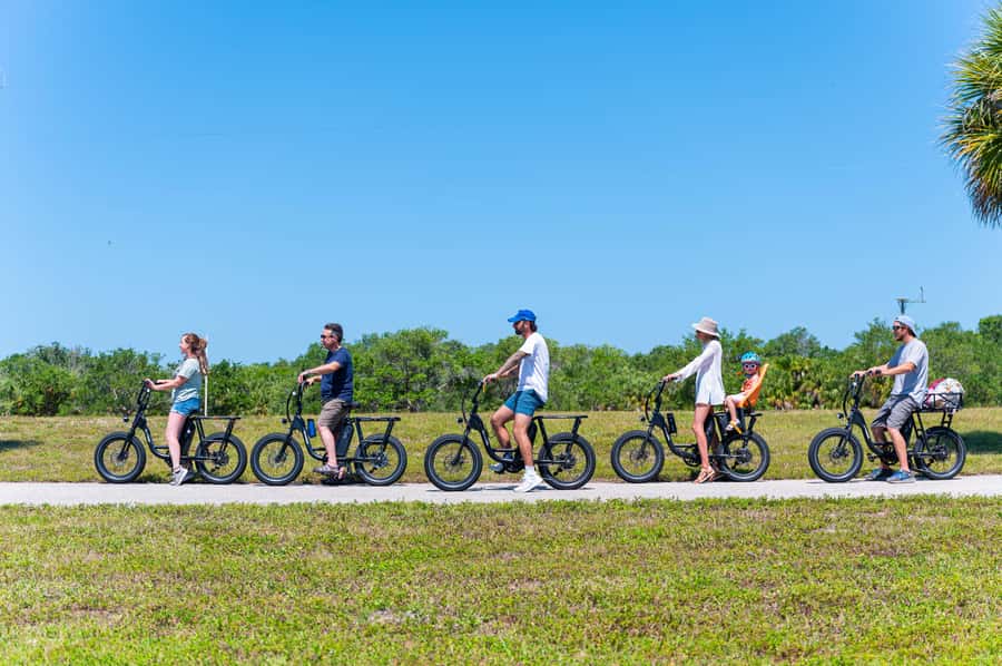 Tierra Verde: Fort De Soto Beach Guided E-Bike Nature Tour - From the Tree Tunnel to the Waterfront Trail