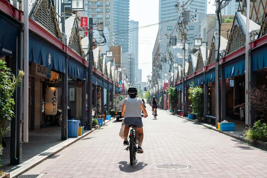 Tokyo: 3-hour Guided E-Bike Tour of the City's Hidden Gems - Tokyo Bay Route: bridges, open water, and sunset views