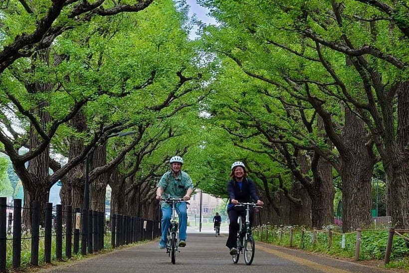 Tokyo: 3h Private E-bike Tours, Starting at Your Hotel - The Tokyo Metropolitan Government Building and western Tokyo