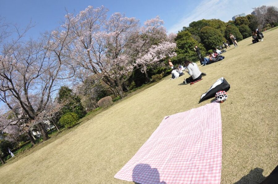 Tokyo: Private Cycling Tour with cute E-bike - How the private price measures up
