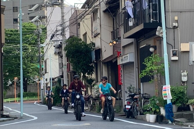 Tokyo Top Highlights 3h Guided E-bike Tour - What the guides add to the ride
